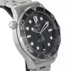 Omega Seamaster Diver 300M Co-Axial Master Chronometer 42mm Black Stainless Steel- 210.30.42.20.01.001