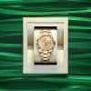 Rolex Sky-Dweller, 42mm, 18k Yellow Gold, Ref# 336938-0001