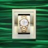 Rolex Sky-Dweller, 42mm, 18k Yellow Gold, Ref# 336938-0003